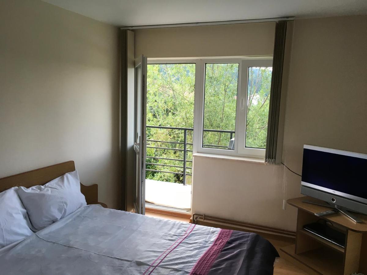 Casa Pelerinului Apartment Capatineni-Paminteni ภายนอก รูปภาพ