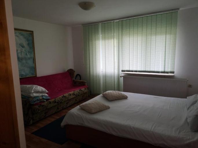 Casa Pelerinului Apartment Capatineni-Paminteni ภายนอก รูปภาพ